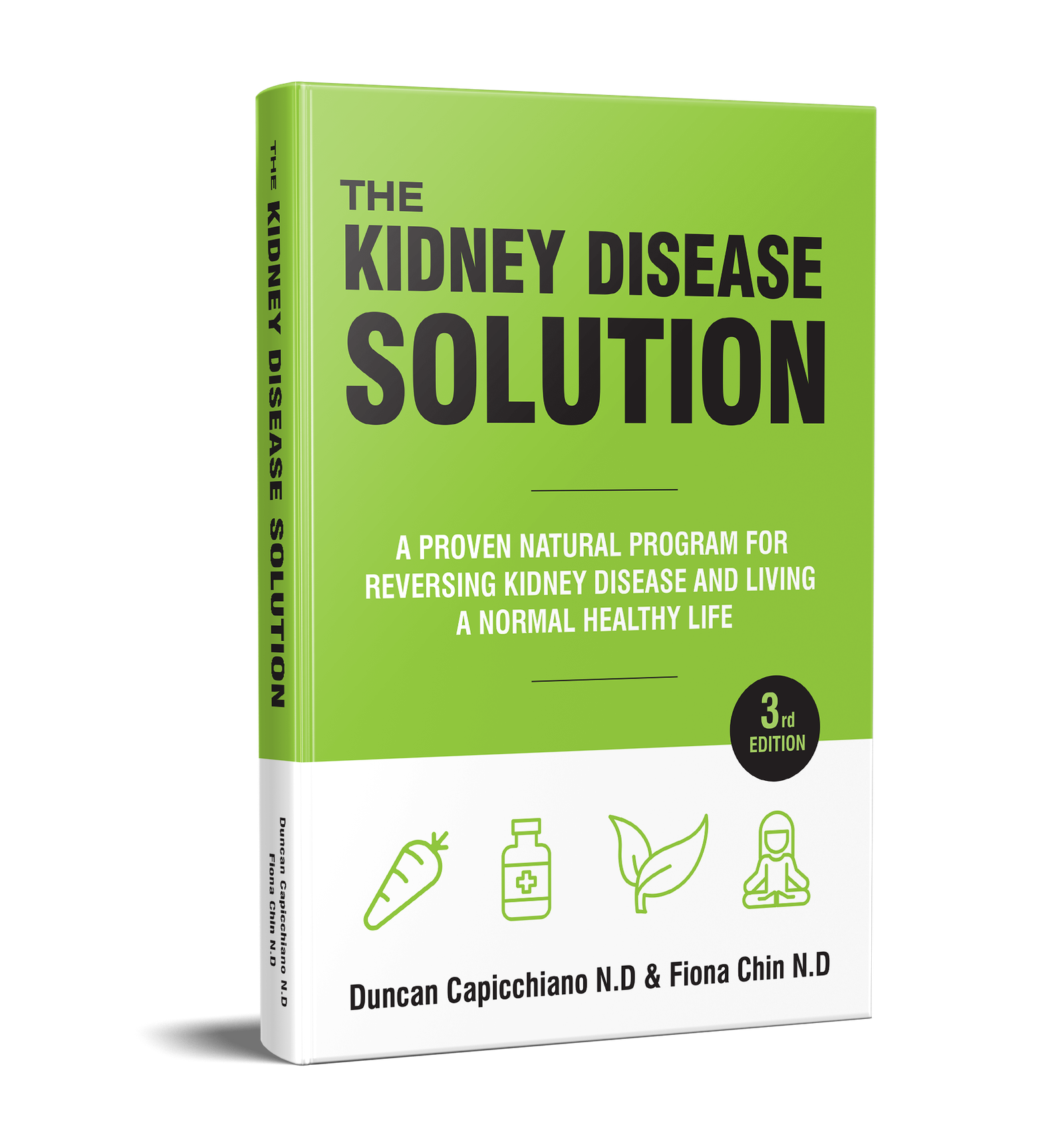 the-kidney-disease-solution-pdf-2024